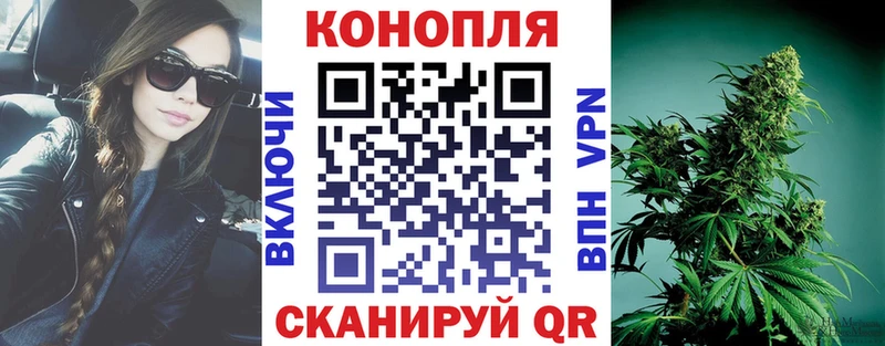 как найти наркотики  Ачхой-Мартан  Бошки Шишки White Widow 